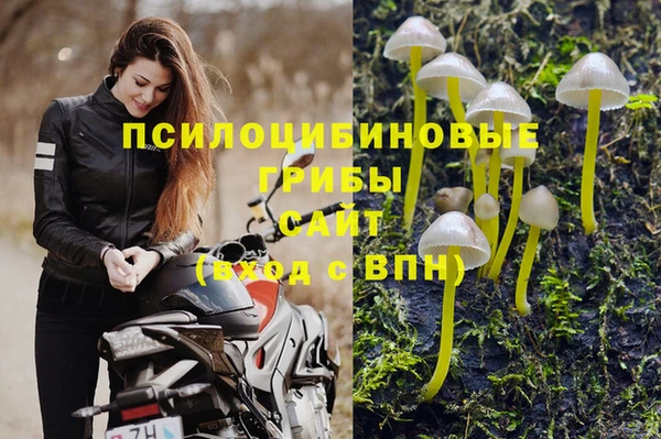 дживик Надым