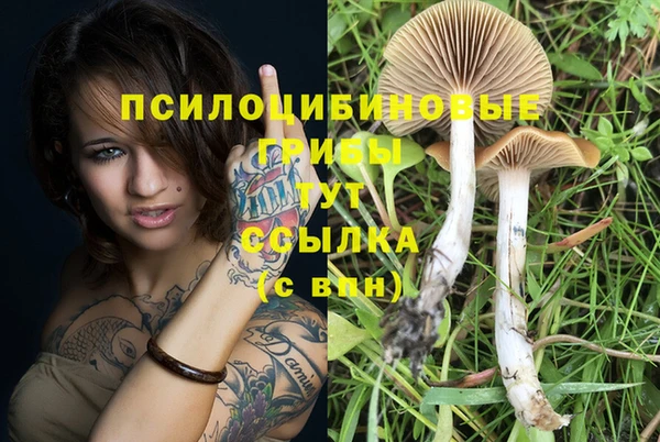 дживик Надым