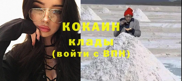 дживик Надым