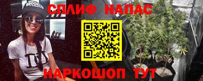 хмурый Гусь-Хрустальный