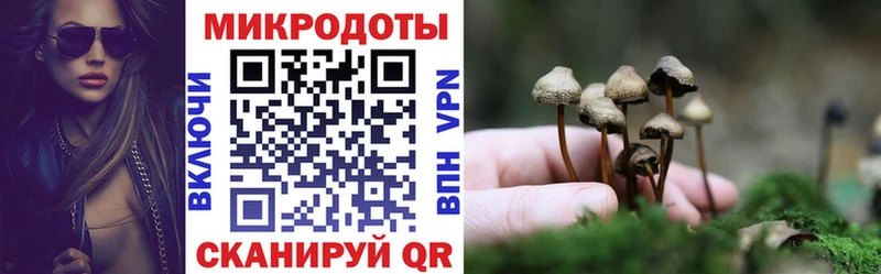 кракен ССЫЛКА  Фролово  Галлюциногенные грибы GOLDEN TEACHER 